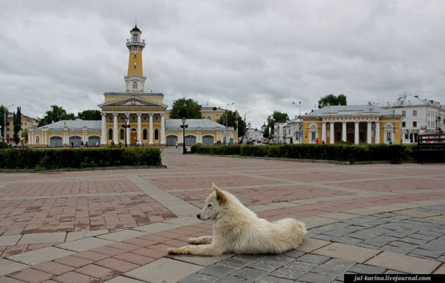 Хозяин Сковородки