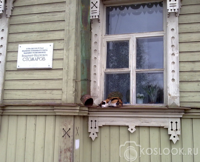 Здесь живет кот