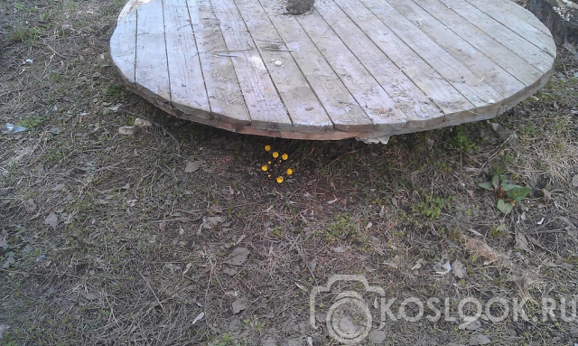 Весна все же пришла