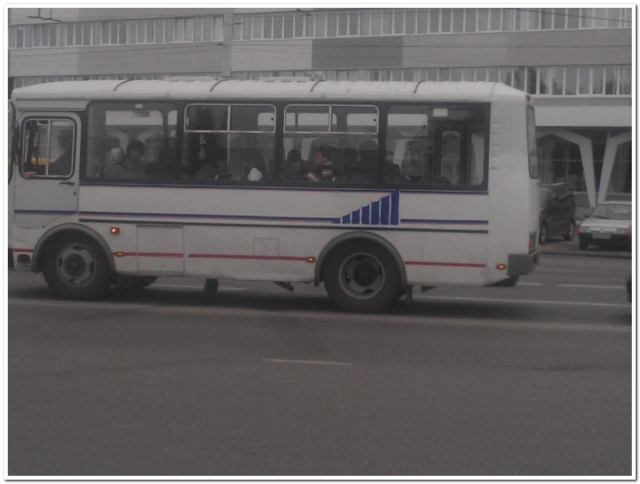 ПАЗ отлично ловит сеть