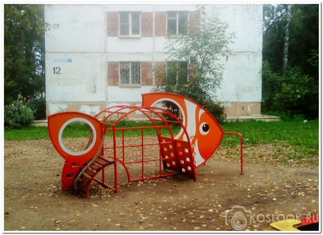 В Костроме нашли Немо