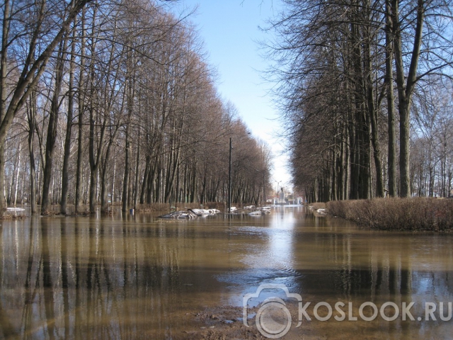 Ленин и вода