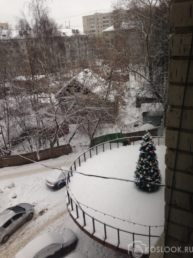 Ёлочка в окне