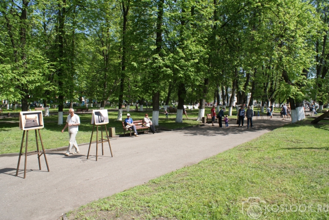 “Фотосушка” в Костроме