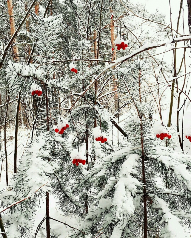 Вдохновение - всегда в мелочах
