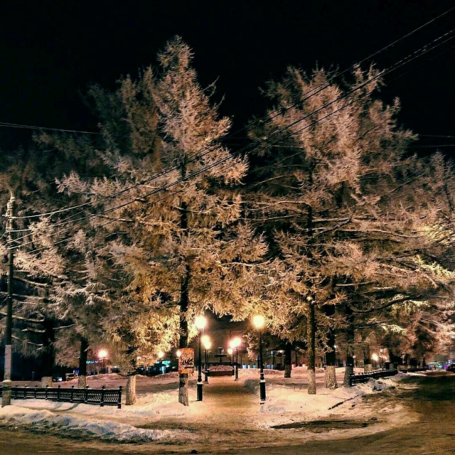Зимняя сказка