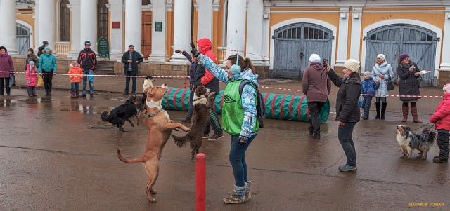 Собачий вальс