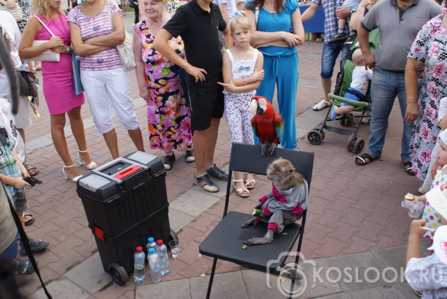 День города 2013: Гости из Африки