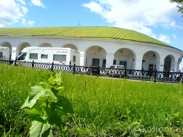 От лета кругом голова