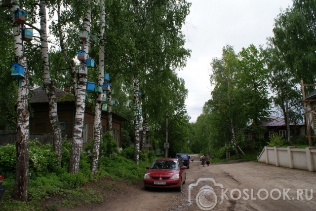 Все для скворцов