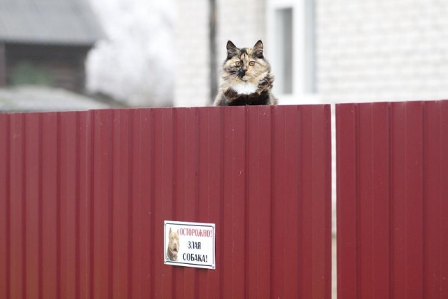 Осторожно!