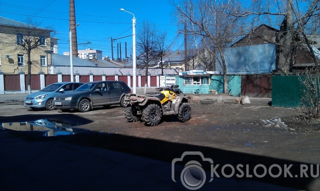 Еще один признак весны