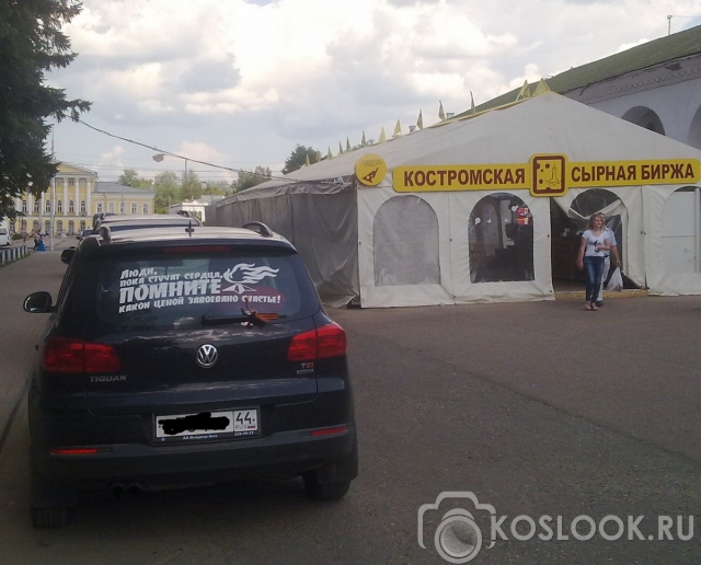 Люди, помните… и думайте