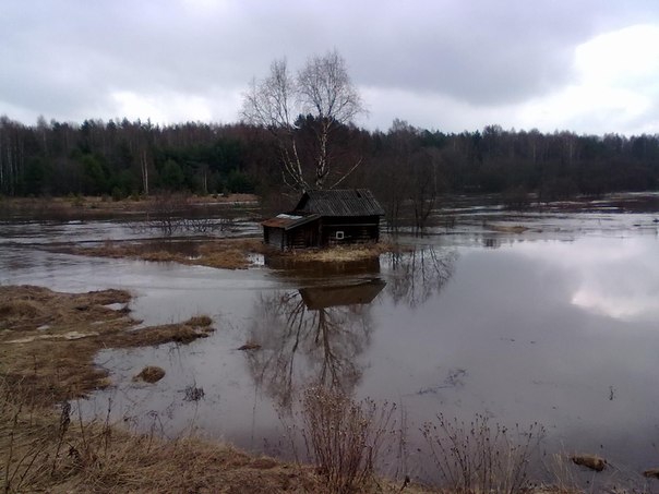 Домик одинокий