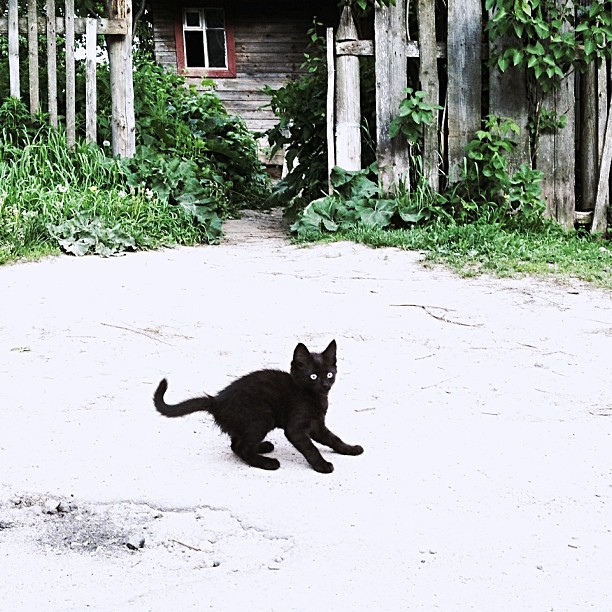 Ах ты ж…