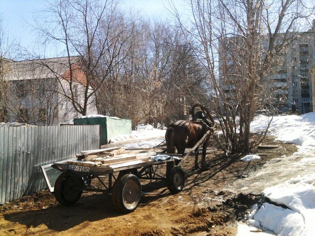 Сама пришла!